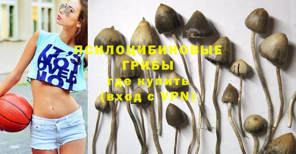 эйфоретик Горно-Алтайск