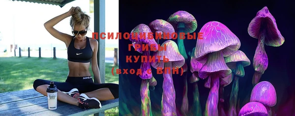 эйфоретик Горно-Алтайск